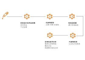 神经递质靶向分析