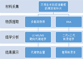 黄酮类靶向分析